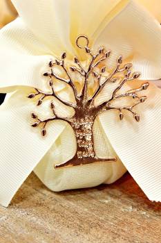 Μπομπονιέρα γάμου τούλι με χάλκινο δέντρο ζωής με ευχές